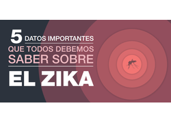 Top 5 Things Everyone Needs to Know about Zika