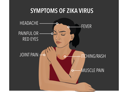 Supporting families Affected by Zika Virus