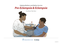Helping Mothers Survive: Pre-eclampsia & Eclampsia (HMS PE&E)